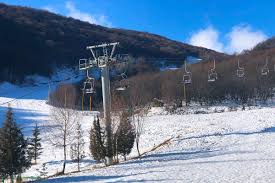 #tsaghkadzorropeway